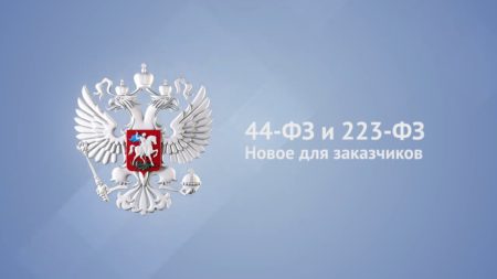 Основные изменение в 44-ФЗ и 223-ФЗ, вступившие в силу в 2023 году